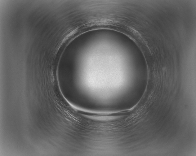X0000053021218200507221331