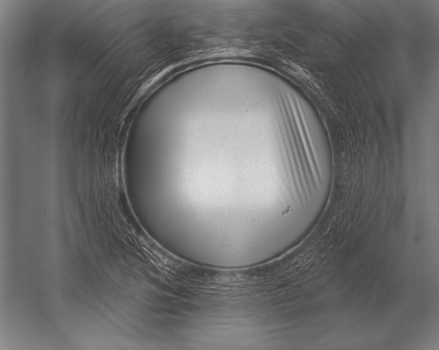 X0000053021220200507221331