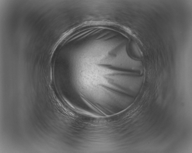 X0000053021221200507221331