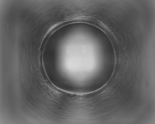 X0000053021222200507221331