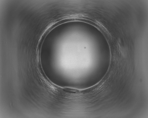 X0000053021224200507221331