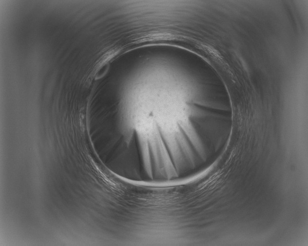 X0000053021225200507221331