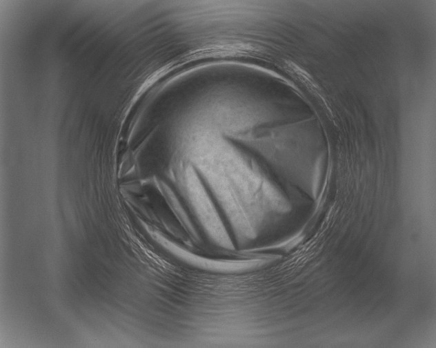 X0000053021226200507221331