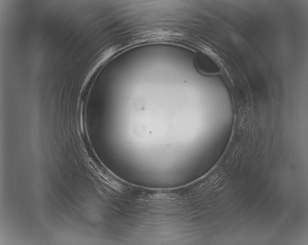 X0000053021227200507221331