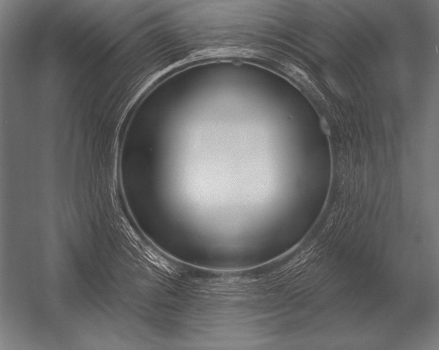 X0000053021228200507221331