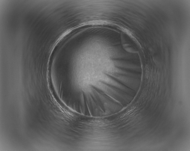 X0000053021229200507221331