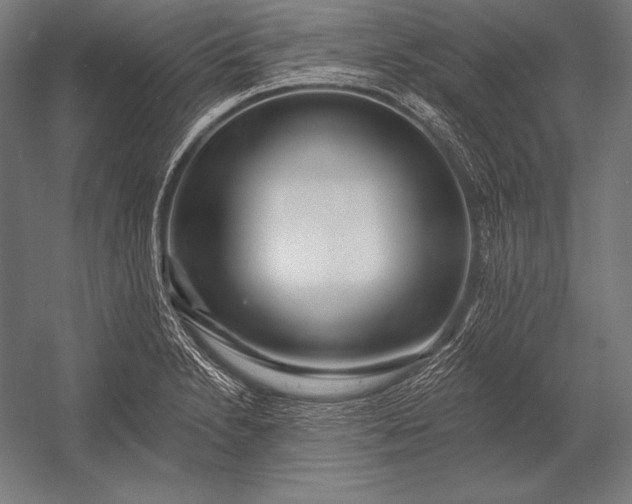 X0000053021230200507221331