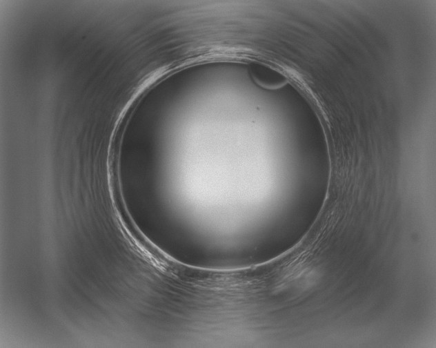 X0000053021235200507221331