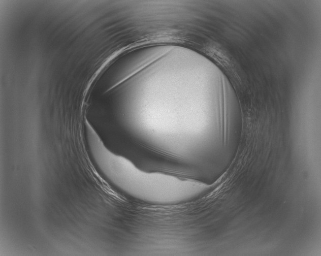 X0000053021236200507221331