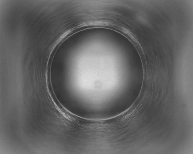 X0000053021237200507221331