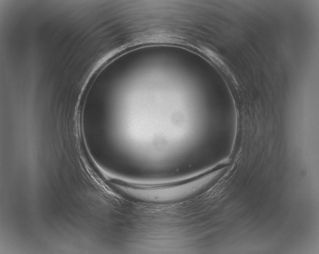 X0000053021238200507221331