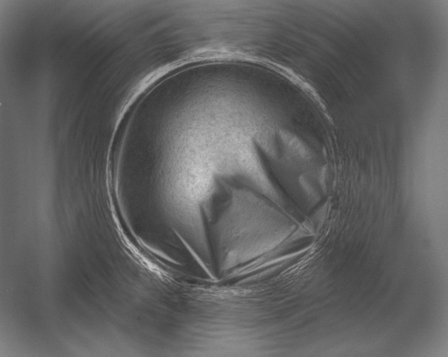 X0000053021239200507221331