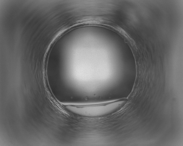 X0000053021240200507221331