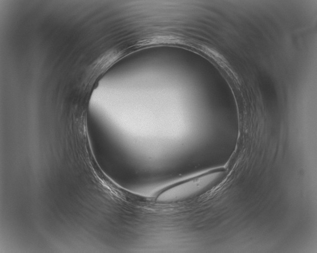 X0000053021241200507221331