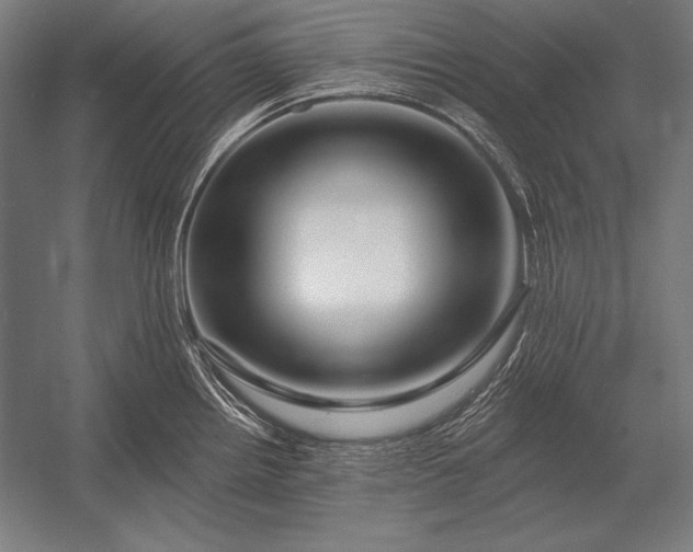 X0000053021242200507221331