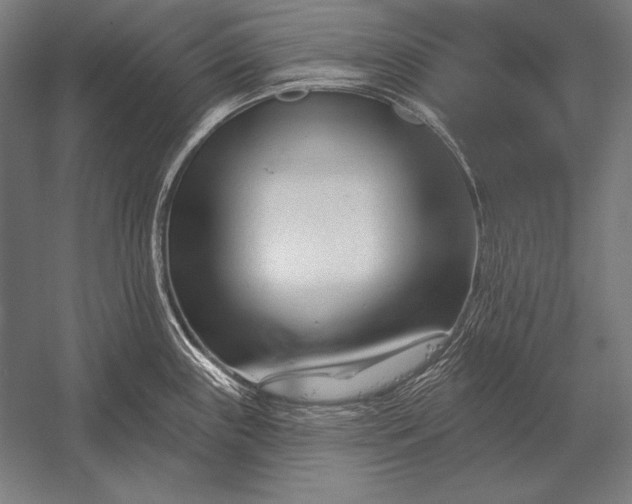 X0000053021243200507221331