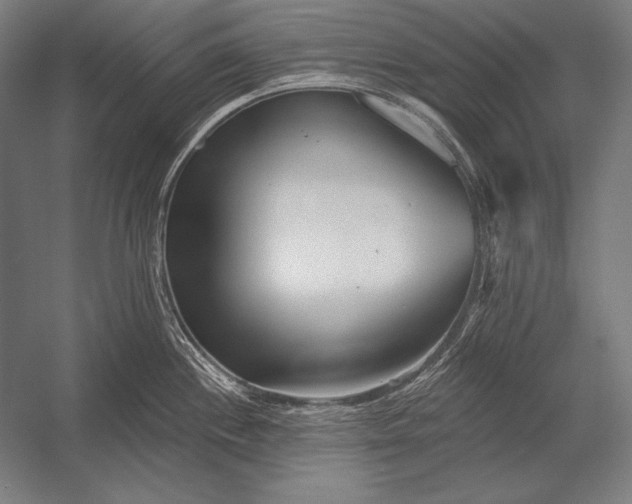 X0000053021244200507221331