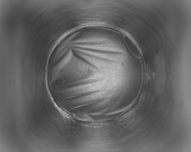 X0000053021245200507221331