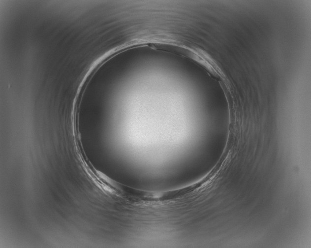 X0000053021246200507221331