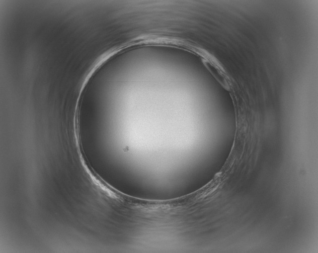 X0000053021247200507221331