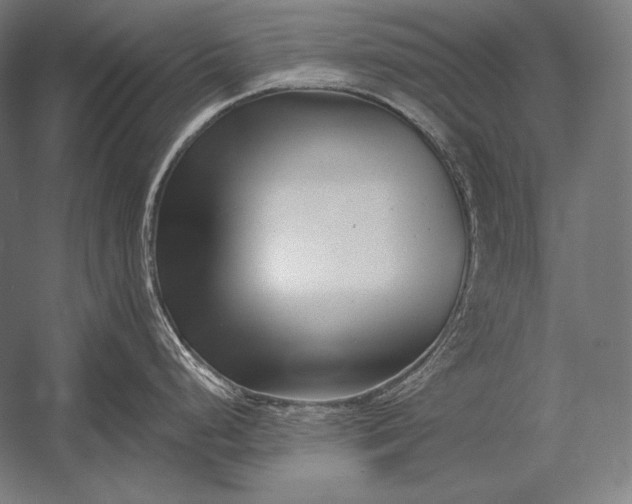 X0000053021248200507221331
