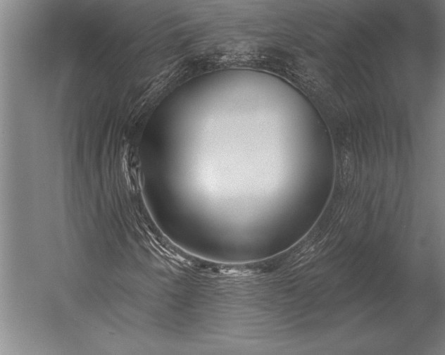 X0000053021250200507221330