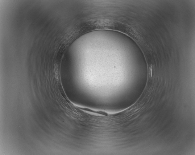 X0000053021251200507221330