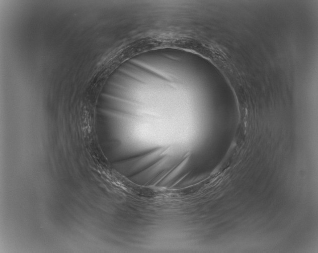 X0000053021253200507221330