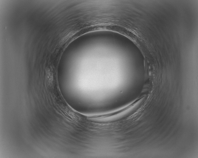 X0000053021257200507221330