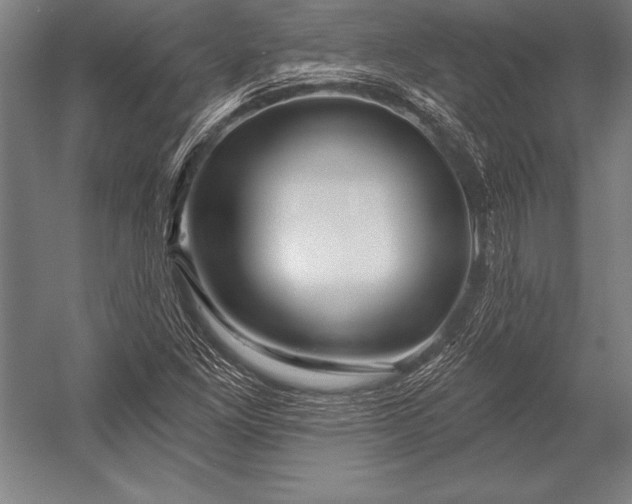 X0000053021261200507221330