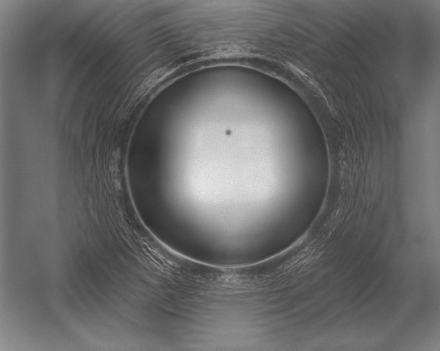 X0000053021265200507221330