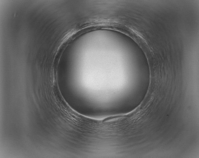 X0000053021267200507221330