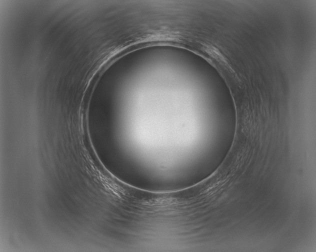 X0000053021268200507221330