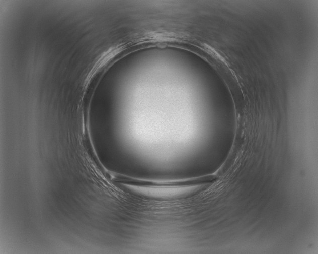X0000053021269200507221330