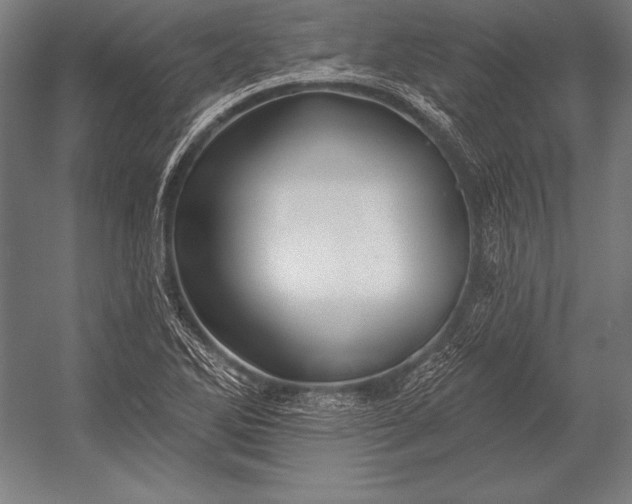 X0000053021270200507221330