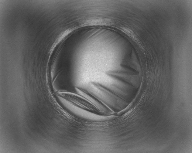X0000053021277200507221330
