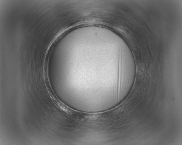 X0000053021278200507221330