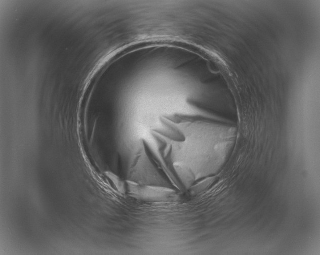 X0000053021279200507221330