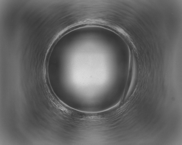 X0000053021280200507221330