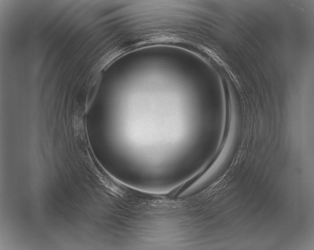 X0000053021281200507221330