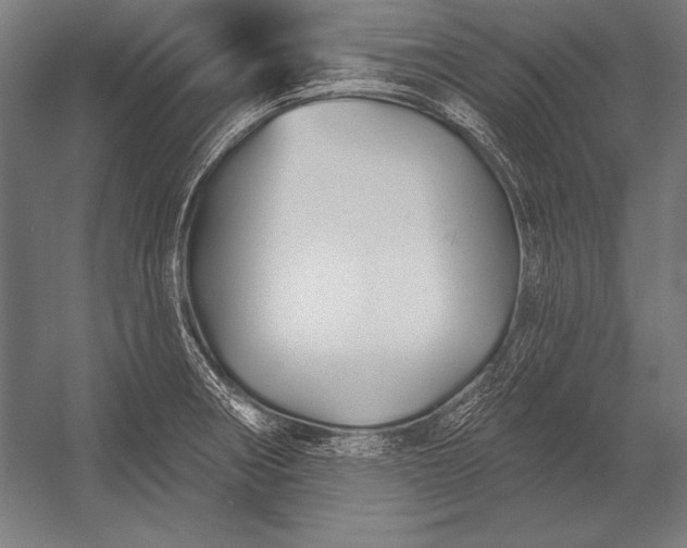 X0000053021282200507221330