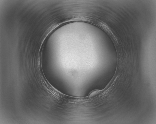 X0000053021284200507221330
