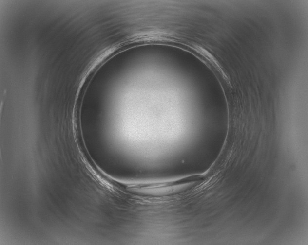 X0000053021285200507221330