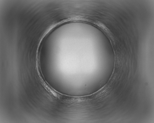 X0000053021286200507221330
