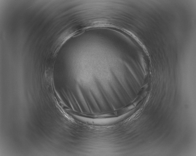X0000053021289200507221330