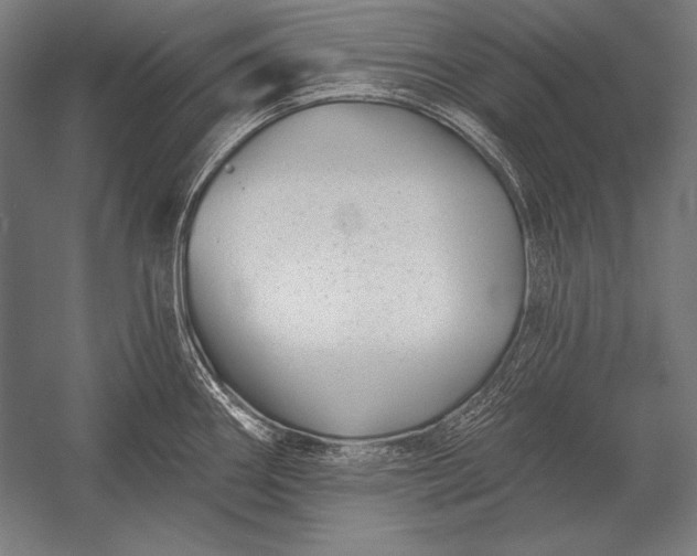 X0000053021290200507221330