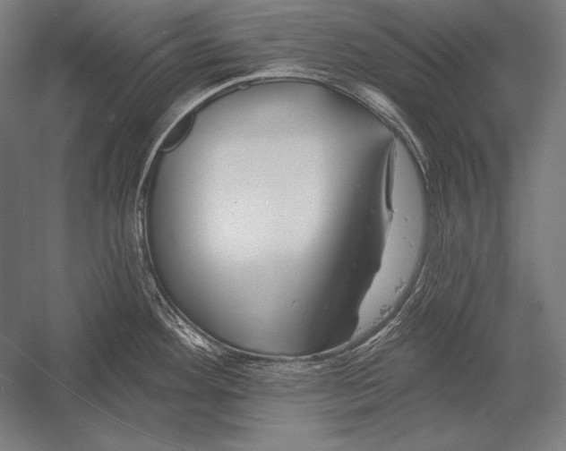 X0000053021292200507221330