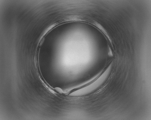 X0000053021293200507221330