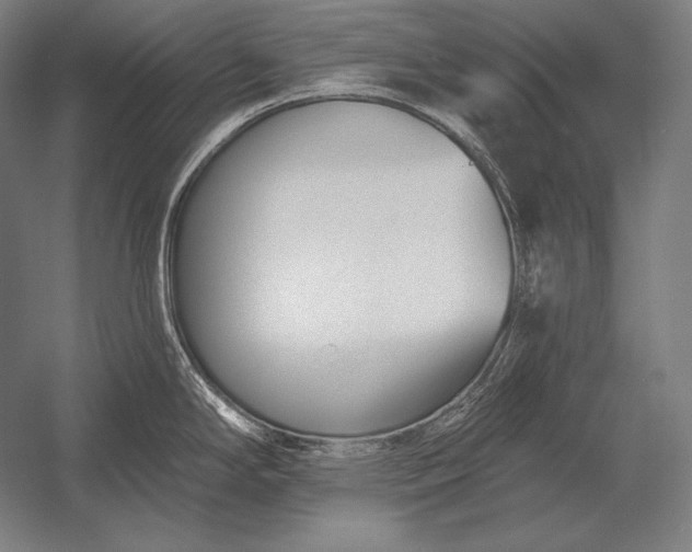 X0000053021294200507221330