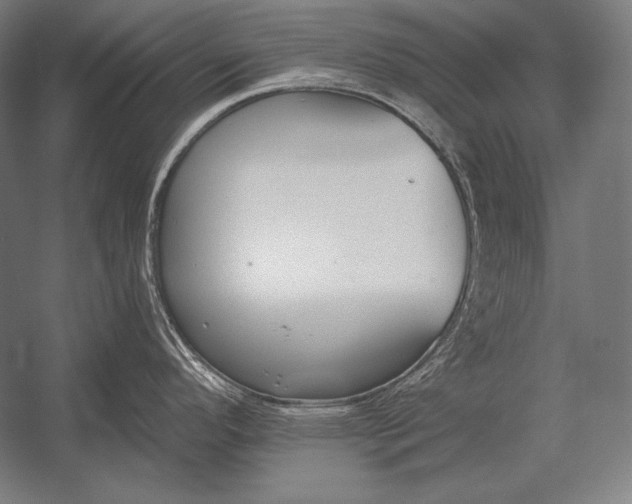 X0000053021296200507221330
